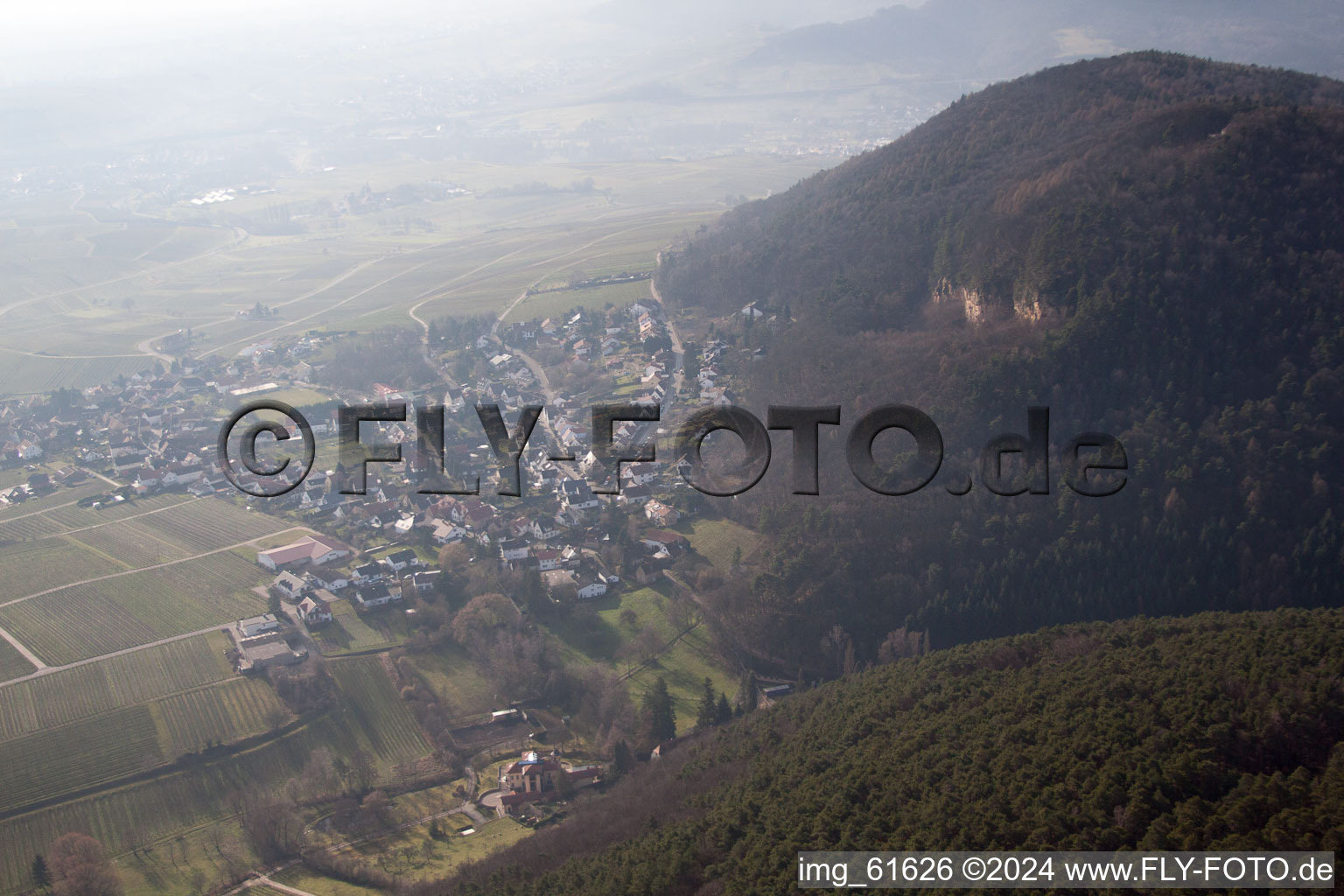 Bird's eye view of Frankweiler in the state Rhineland-Palatinate, Germany