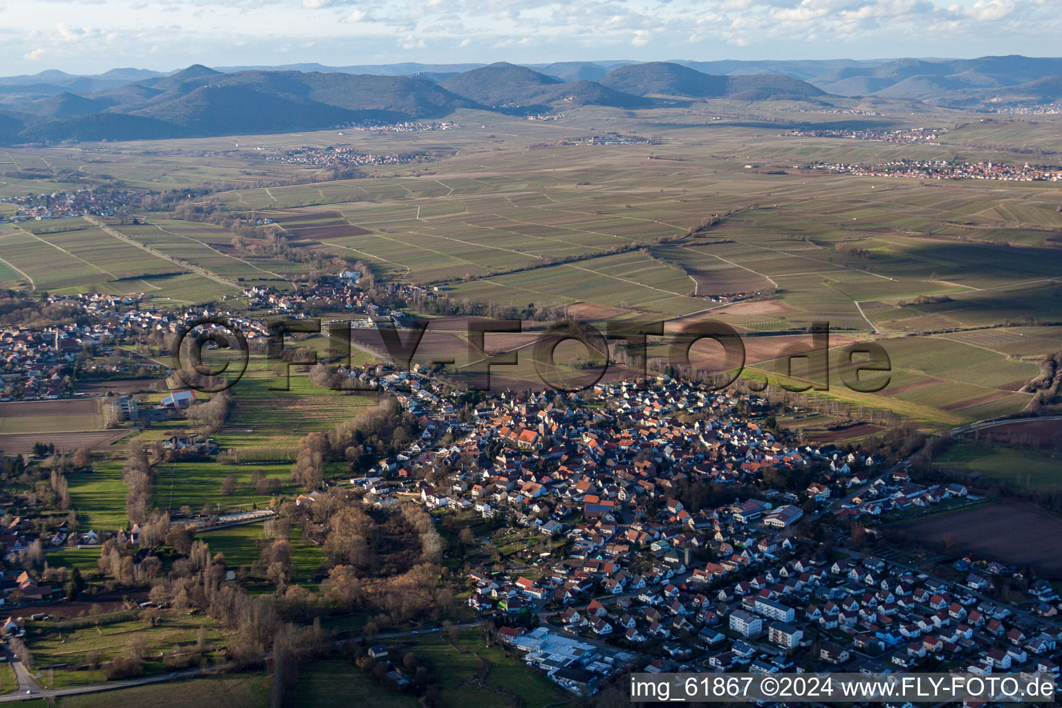 Bird's eye view of Town View of the streets and houses of the residential areas in the district Ingenheim in Billigheim-Ingenheim in the state Rhineland-Palatinate