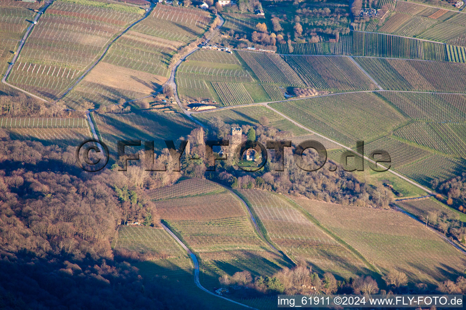 District Schweigen in Schweigen-Rechtenbach in the state Rhineland-Palatinate, Germany from a drone