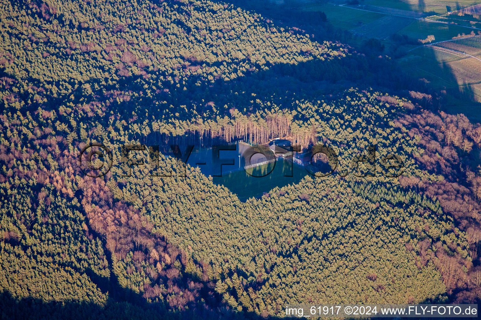 District Rechtenbach in Schweigen-Rechtenbach in the state Rhineland-Palatinate, Germany from a drone