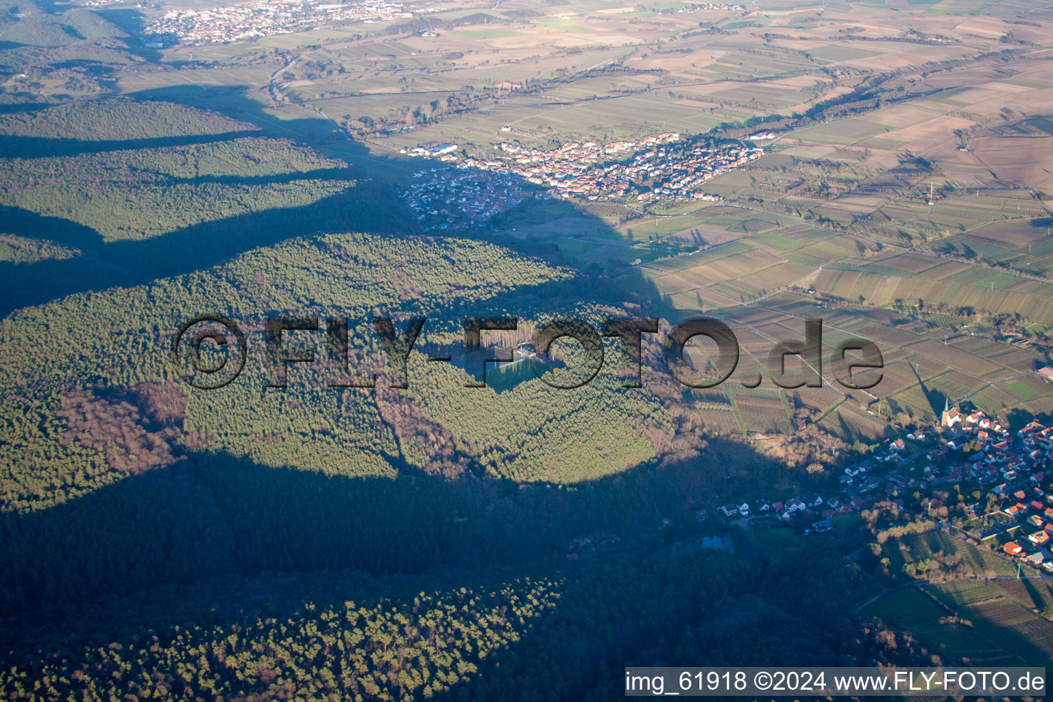 Aerial view of District Schweigen in Schweigen-Rechtenbach in the state Rhineland-Palatinate, Germany