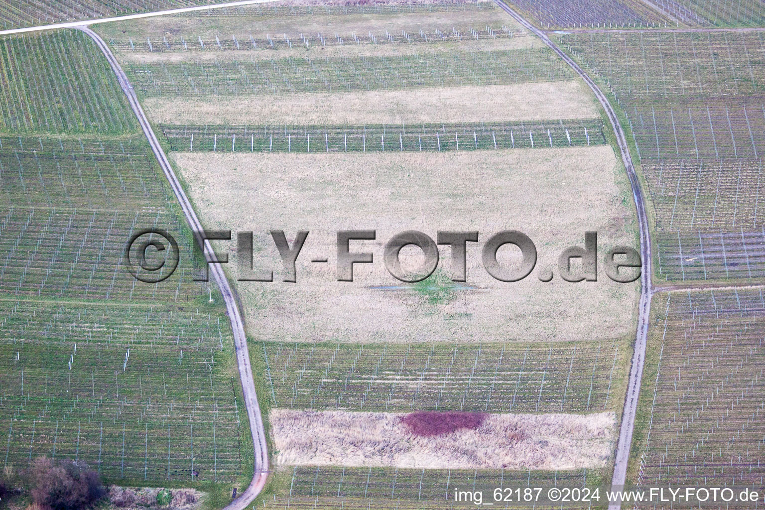 Of Ilbesheim bei Landau in der Pfalz in Ilbesheim bei Landau in der Pfalz in the state Rhineland-Palatinate, Germany from the plane