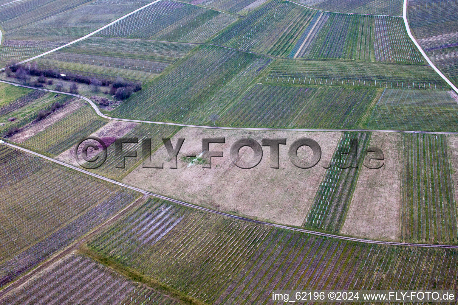 Of Ilbesheim bei Landau in der Pfalz in Ilbesheim bei Landau in der Pfalz in the state Rhineland-Palatinate, Germany from the drone perspective