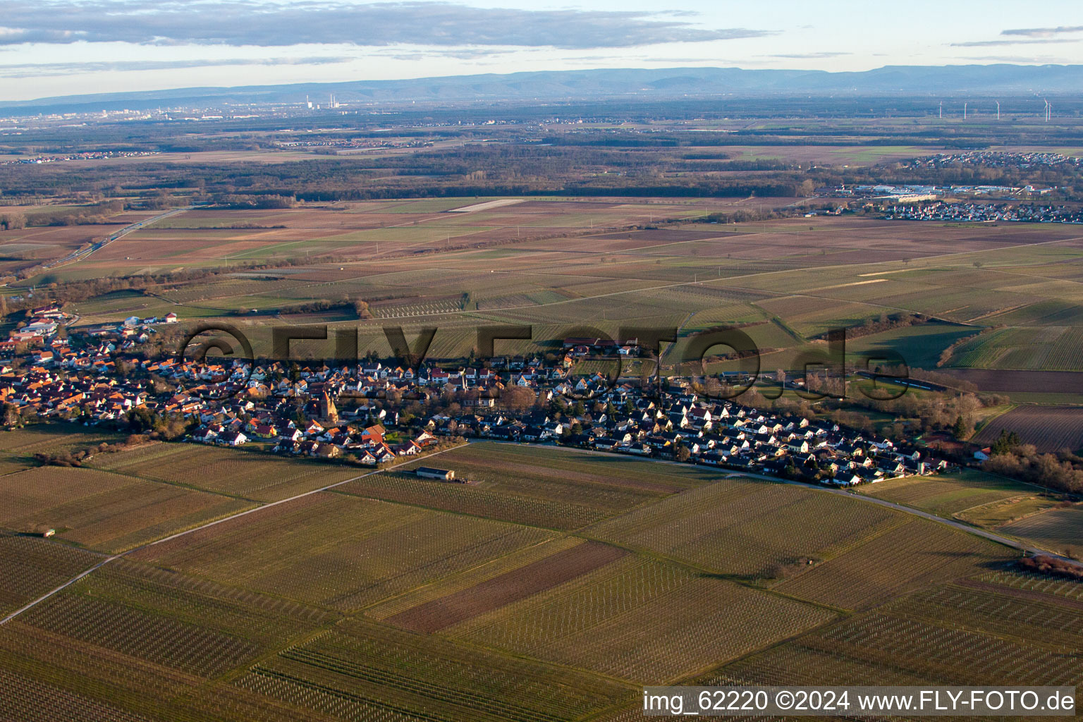 Aerial view of Insheim in the state Rhineland-Palatinate, Germany