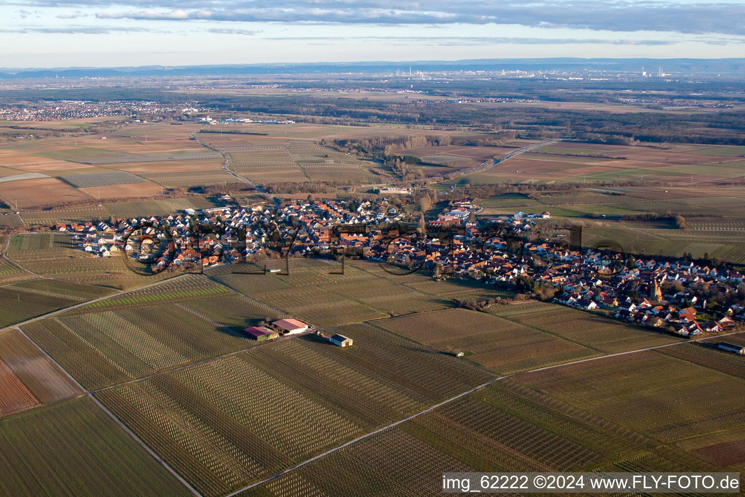 Oblique view of Insheim in the state Rhineland-Palatinate, Germany