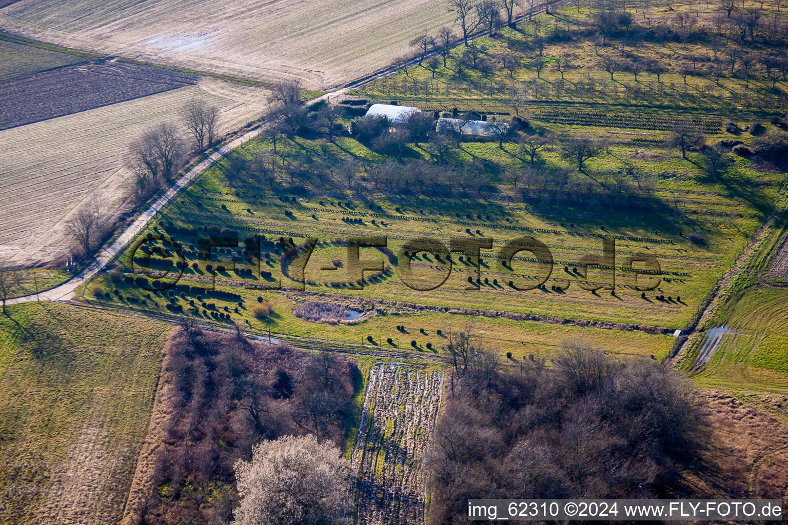 Schweighofen in the state Rhineland-Palatinate, Germany from the plane