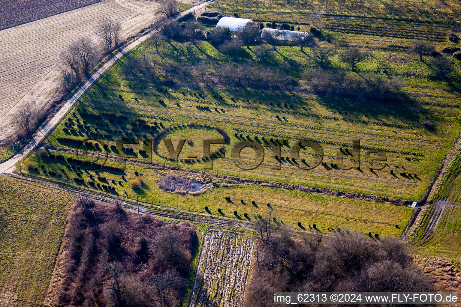 Bird's eye view of Schweighofen in the state Rhineland-Palatinate, Germany