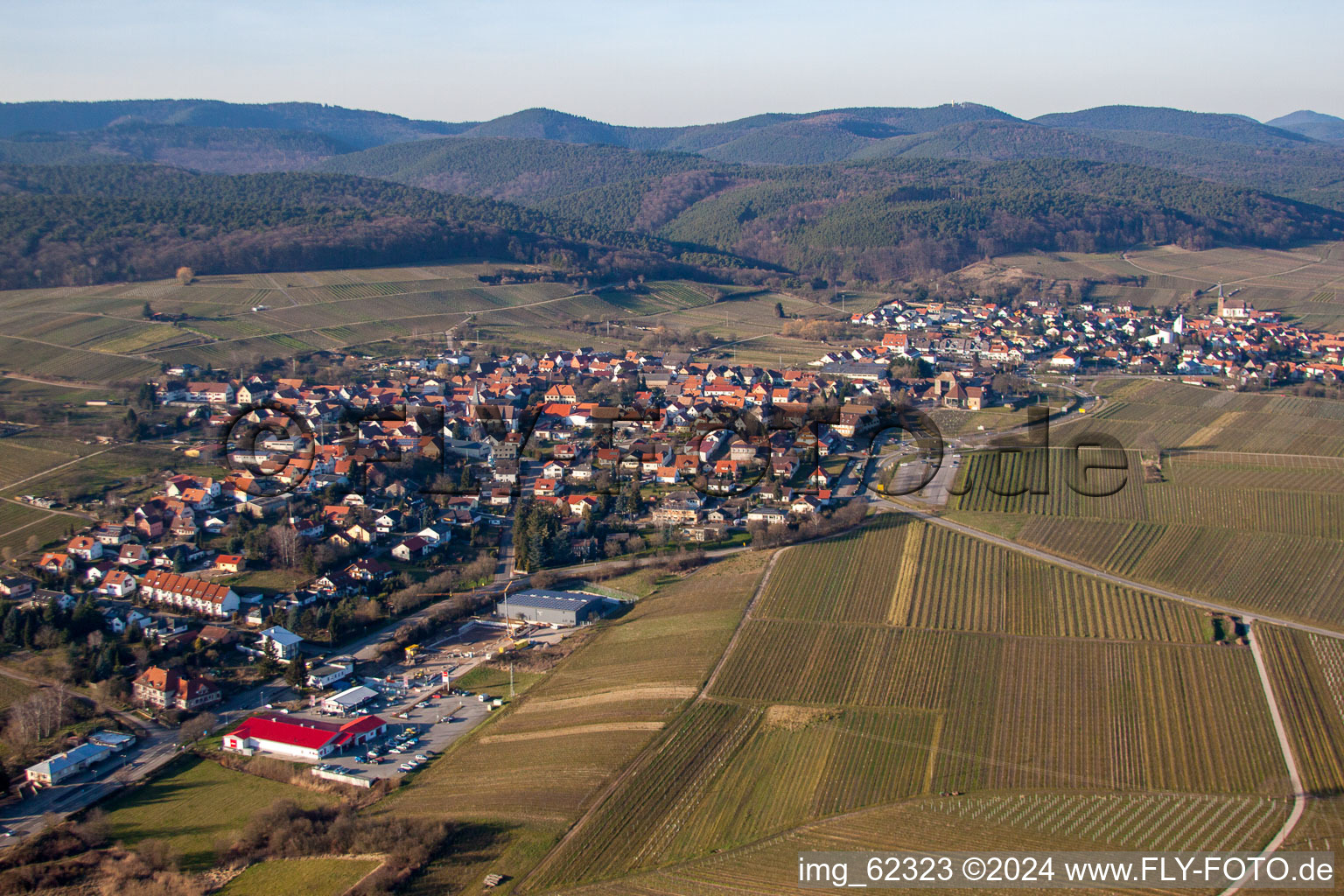 Bird's eye view of District Schweigen in Schweigen-Rechtenbach in the state Rhineland-Palatinate, Germany