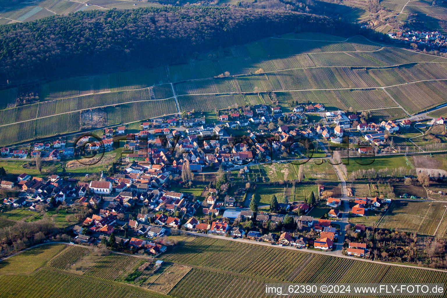 Aerial view of District Pleisweiler in Pleisweiler-Oberhofen in the state Rhineland-Palatinate, Germany