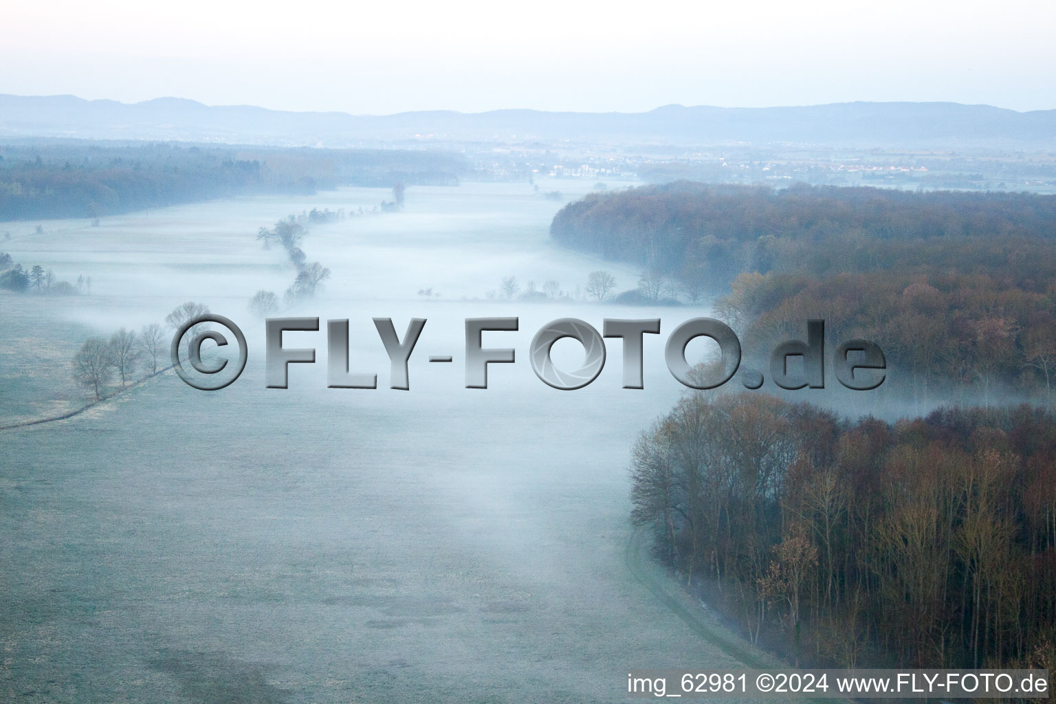 Otterbachtal in Minfeld in the state Rhineland-Palatinate, Germany from a drone