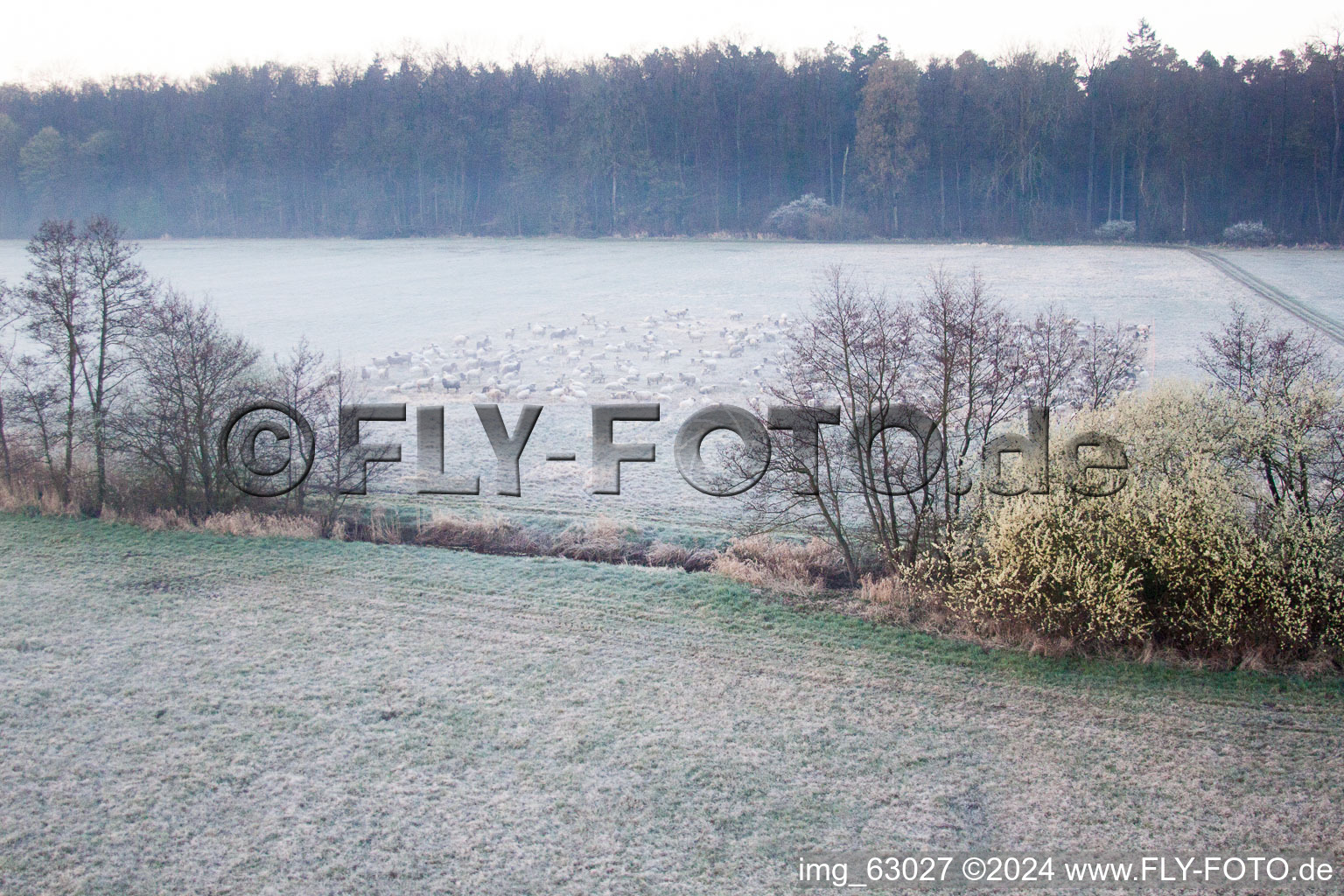 Drone image of Otterbachtal in Minfeld in the state Rhineland-Palatinate, Germany