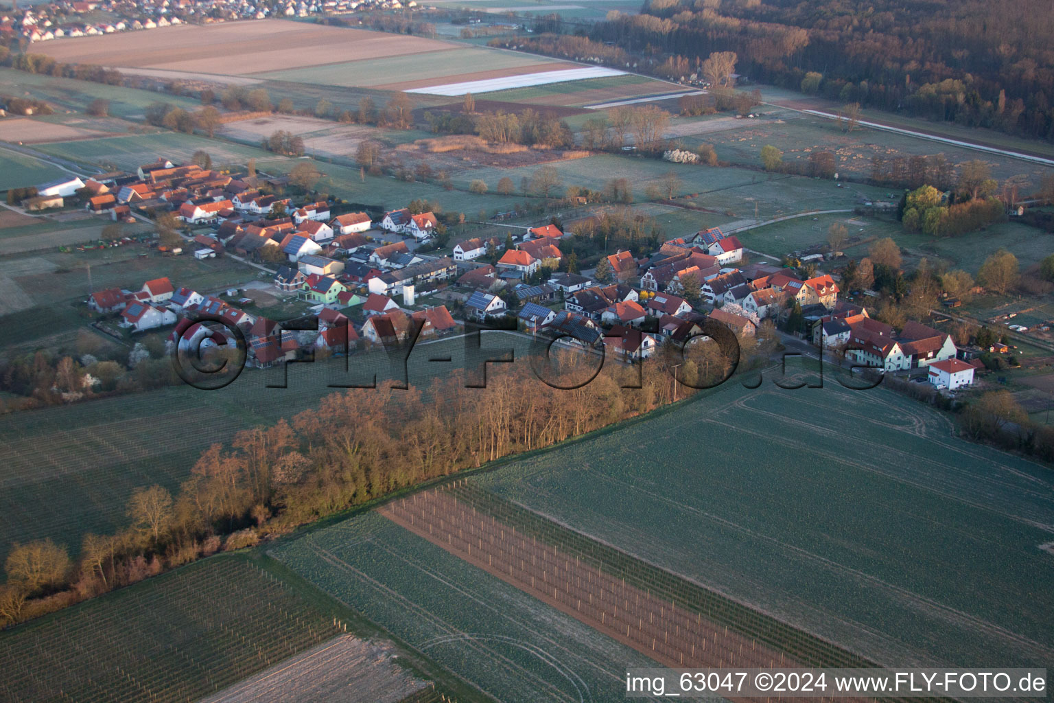 Bird's eye view of Hergersweiler in the state Rhineland-Palatinate, Germany