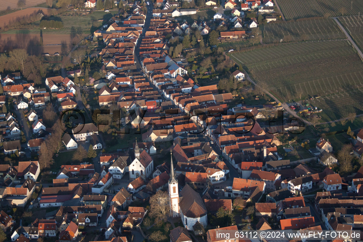 Oblique view of Göcklingen in the state Rhineland-Palatinate, Germany