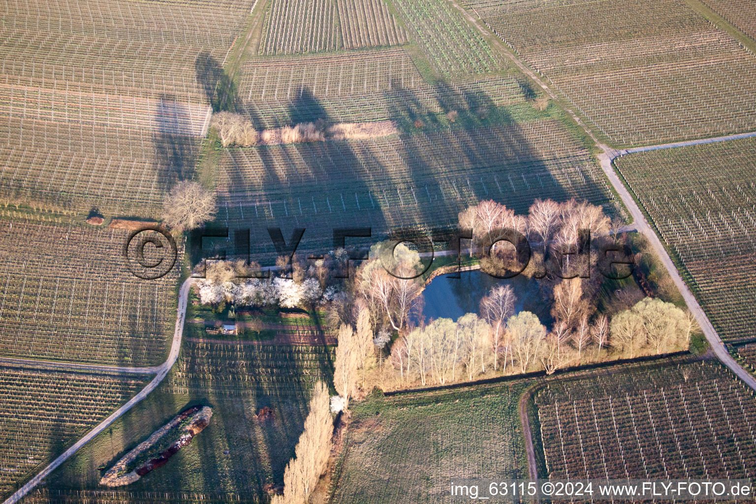 Aerial photograpy of Ilbesheim bei Landau in der Pfalz in the state Rhineland-Palatinate, Germany