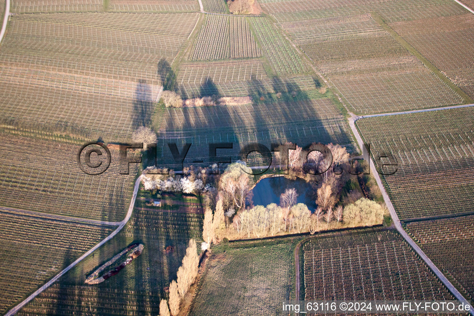 Oblique view of Ilbesheim bei Landau in der Pfalz in the state Rhineland-Palatinate, Germany