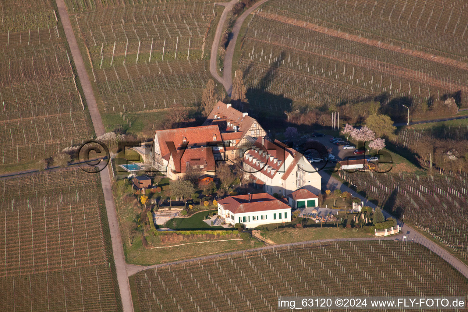 Aerial view of Courtyard in Leinsweiler in the state Rhineland-Palatinate, Germany