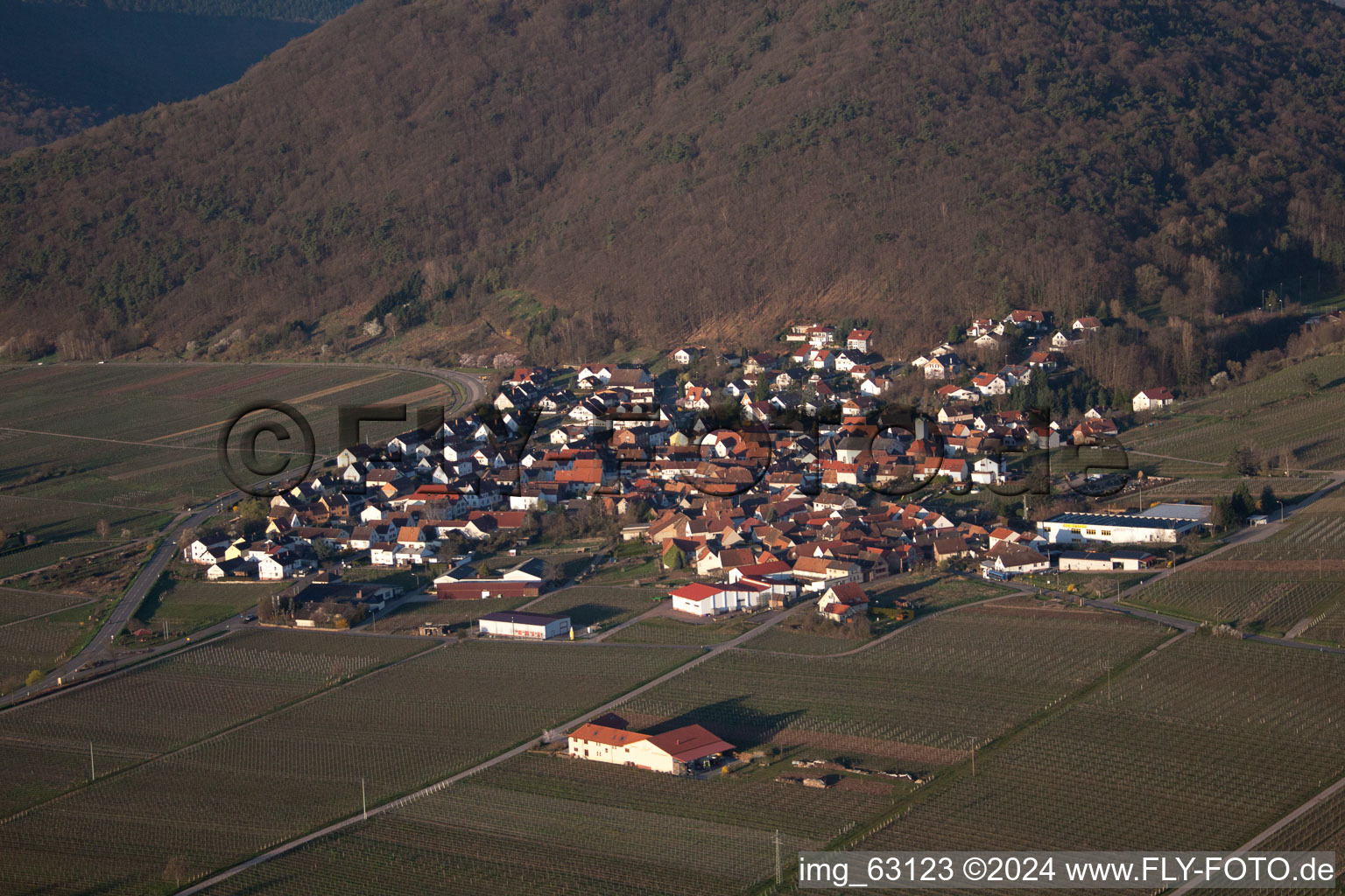 Eschbach in the state Rhineland-Palatinate, Germany from a drone