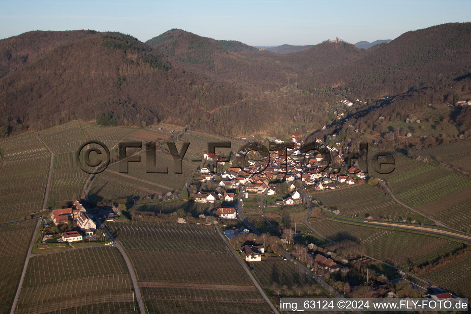 Leinsweiler in the state Rhineland-Palatinate, Germany from a drone