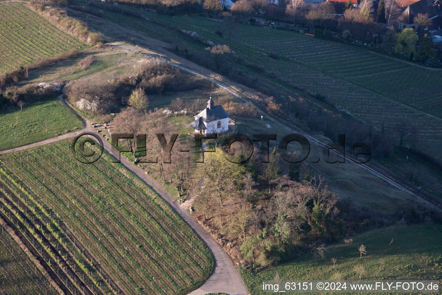 Small kalmit in Ilbesheim bei Landau in der Pfalz in the state Rhineland-Palatinate, Germany from above