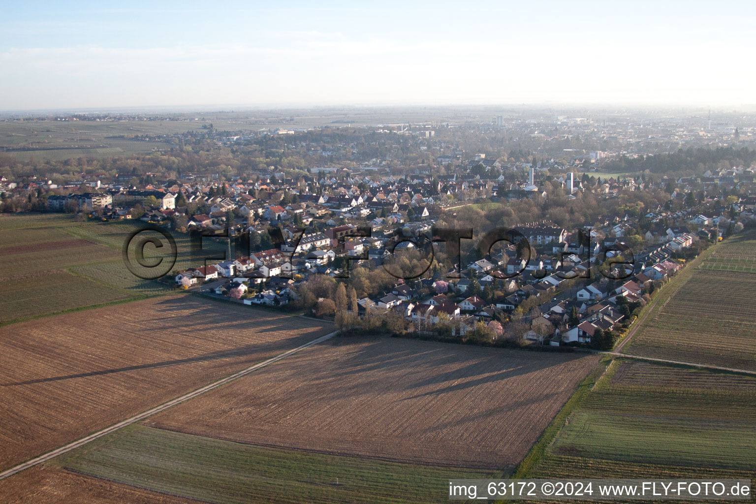 Meadow and fallow land between Landau W, Wollmesheim and Arzheim in Landau in der Pfalz in the state Rhineland-Palatinate, Germany