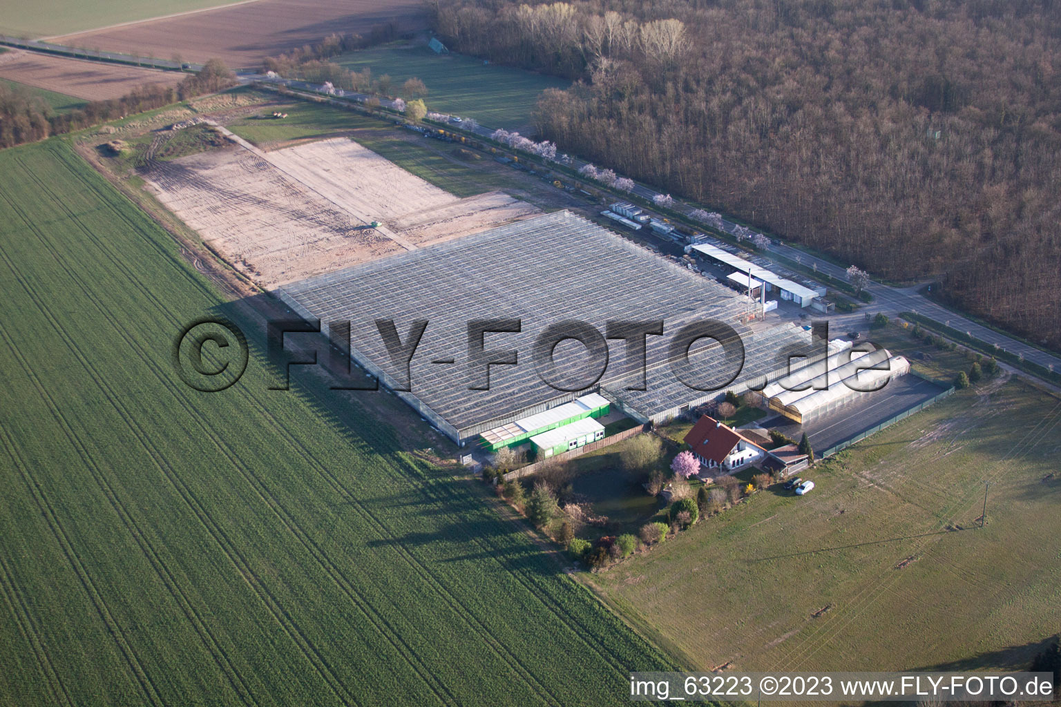 Essingen in the state Rhineland-Palatinate, Germany seen from above