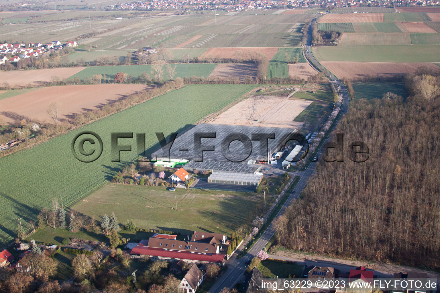 Essingen in the state Rhineland-Palatinate, Germany viewn from the air