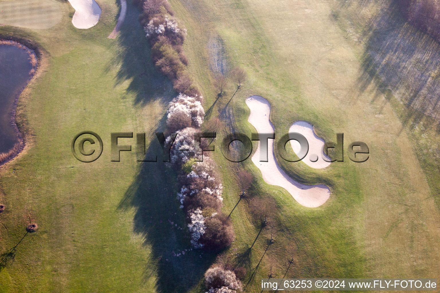 Golf Club Dreihof in Essingen in the state Rhineland-Palatinate, Germany out of the air