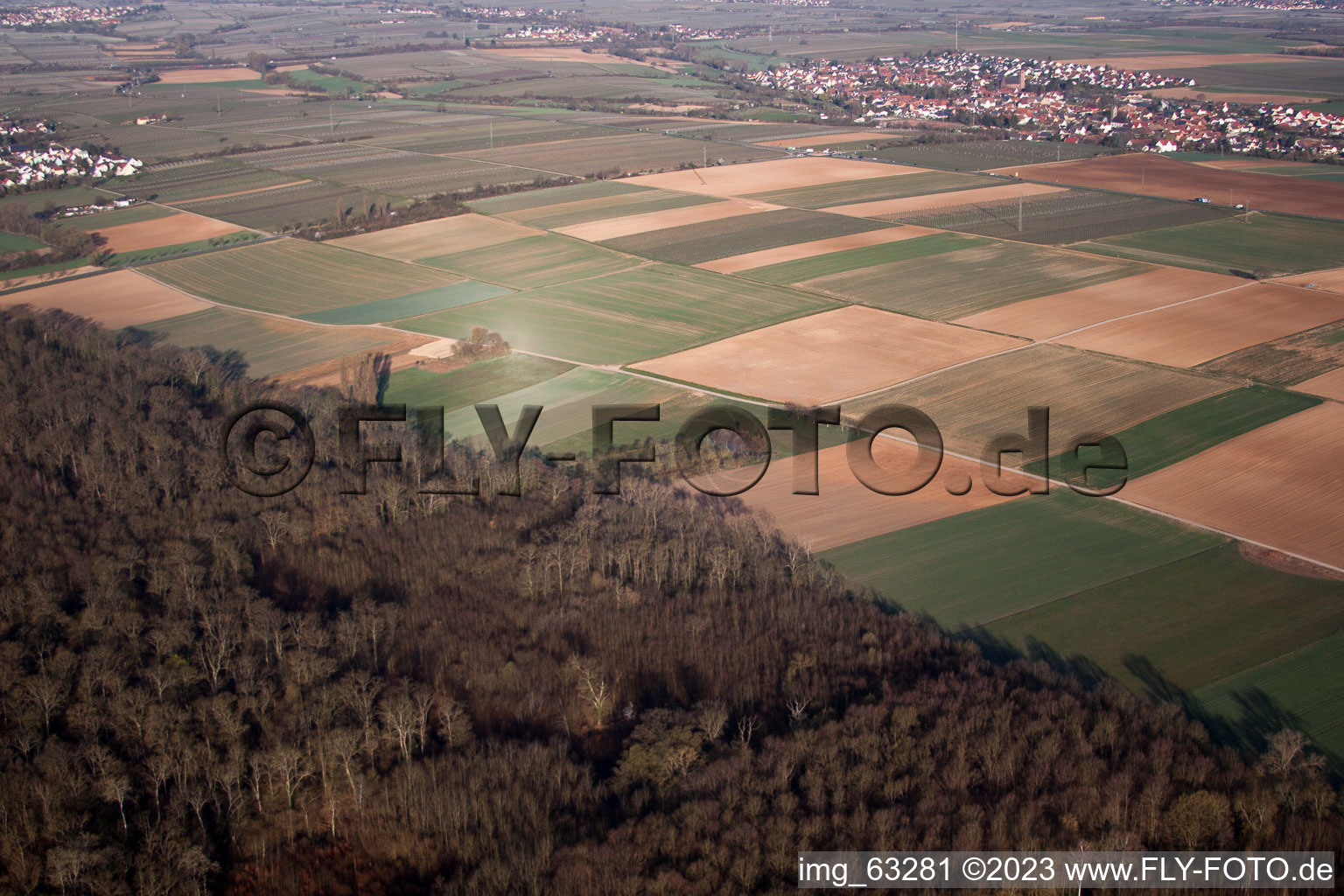 Dreihof Golf Club in Essingen in the state Rhineland-Palatinate, Germany from the drone perspective