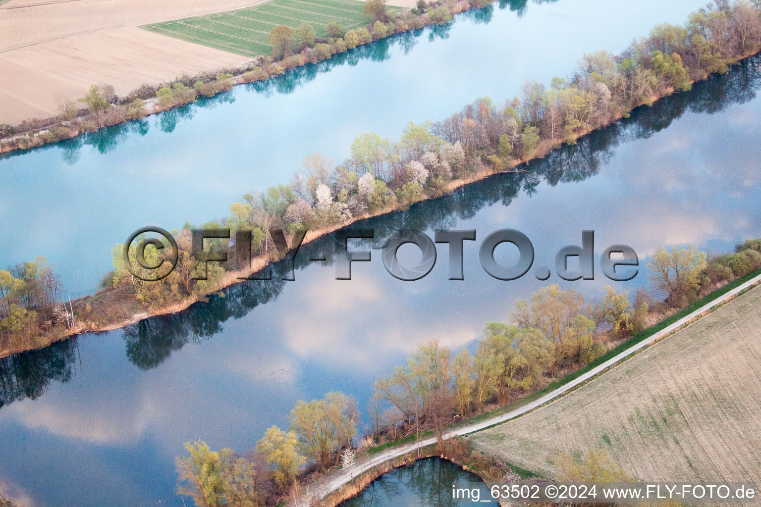 Riparian zones on the course of the river Altrhein in Neupotz in the state Rhineland-Palatinate