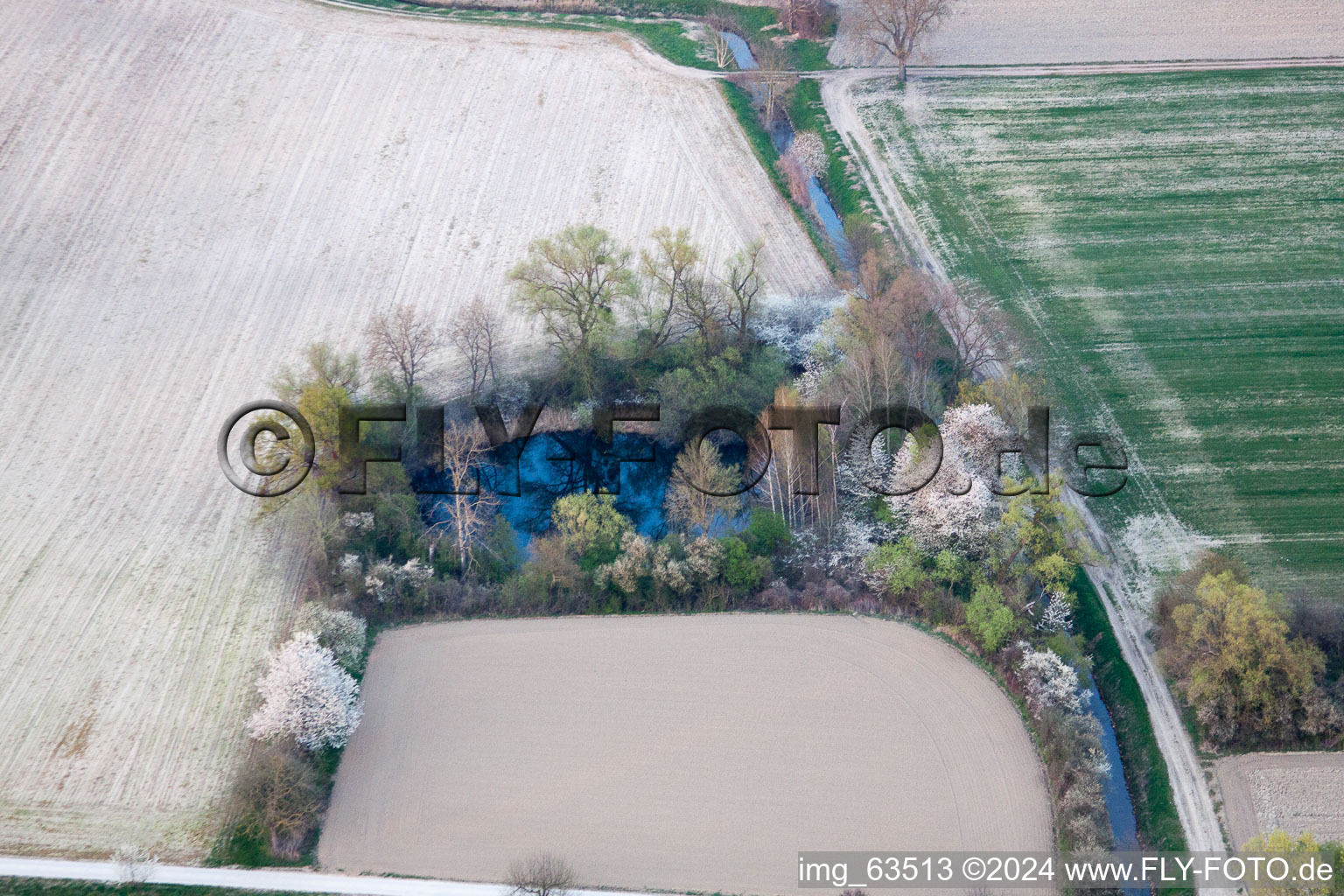 Aerial view of Neupotz in the state Rhineland-Palatinate, Germany