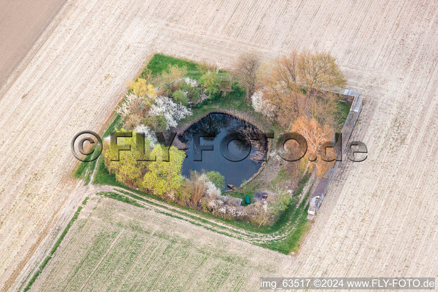 Pond in Neupotz in the state Rhineland-Palatinate