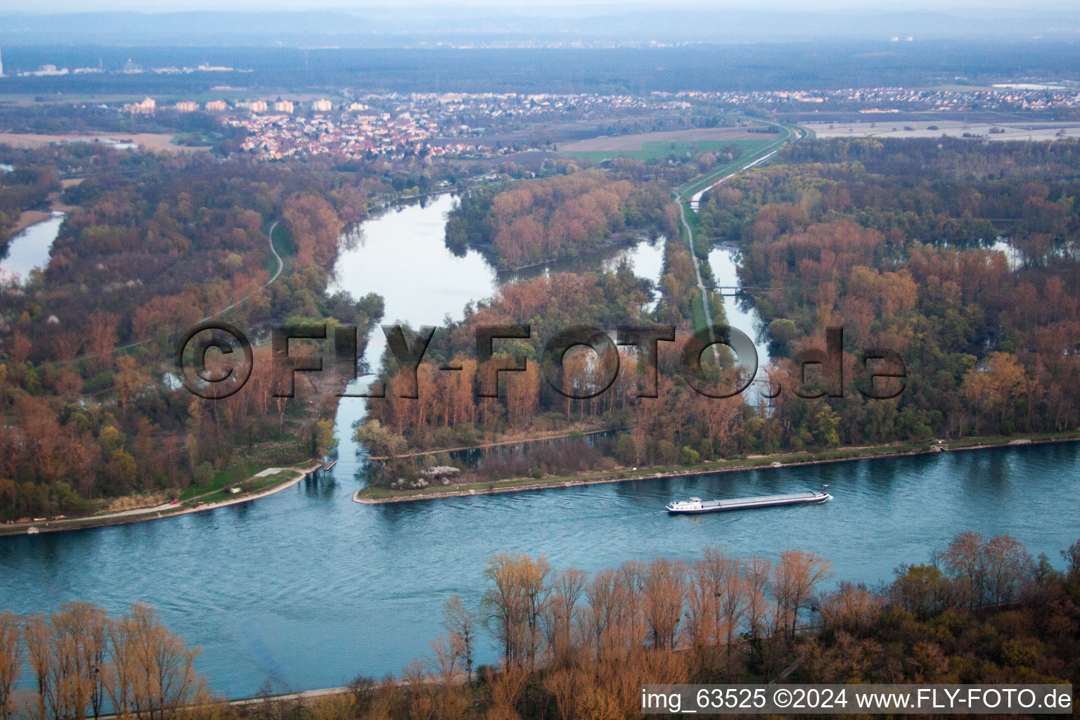 Bird's eye view of Neupotz in the state Rhineland-Palatinate, Germany