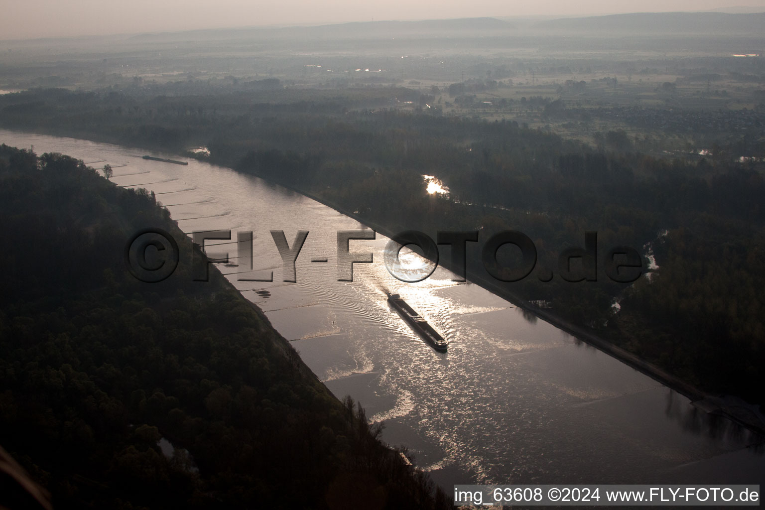 Riparian zones on the course of the river Rhine in Lauterbourg in Grand Est, France