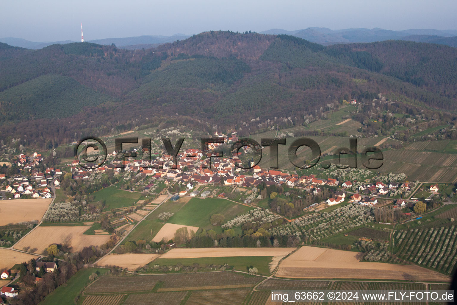 Rott in the state Bas-Rhin, France from above