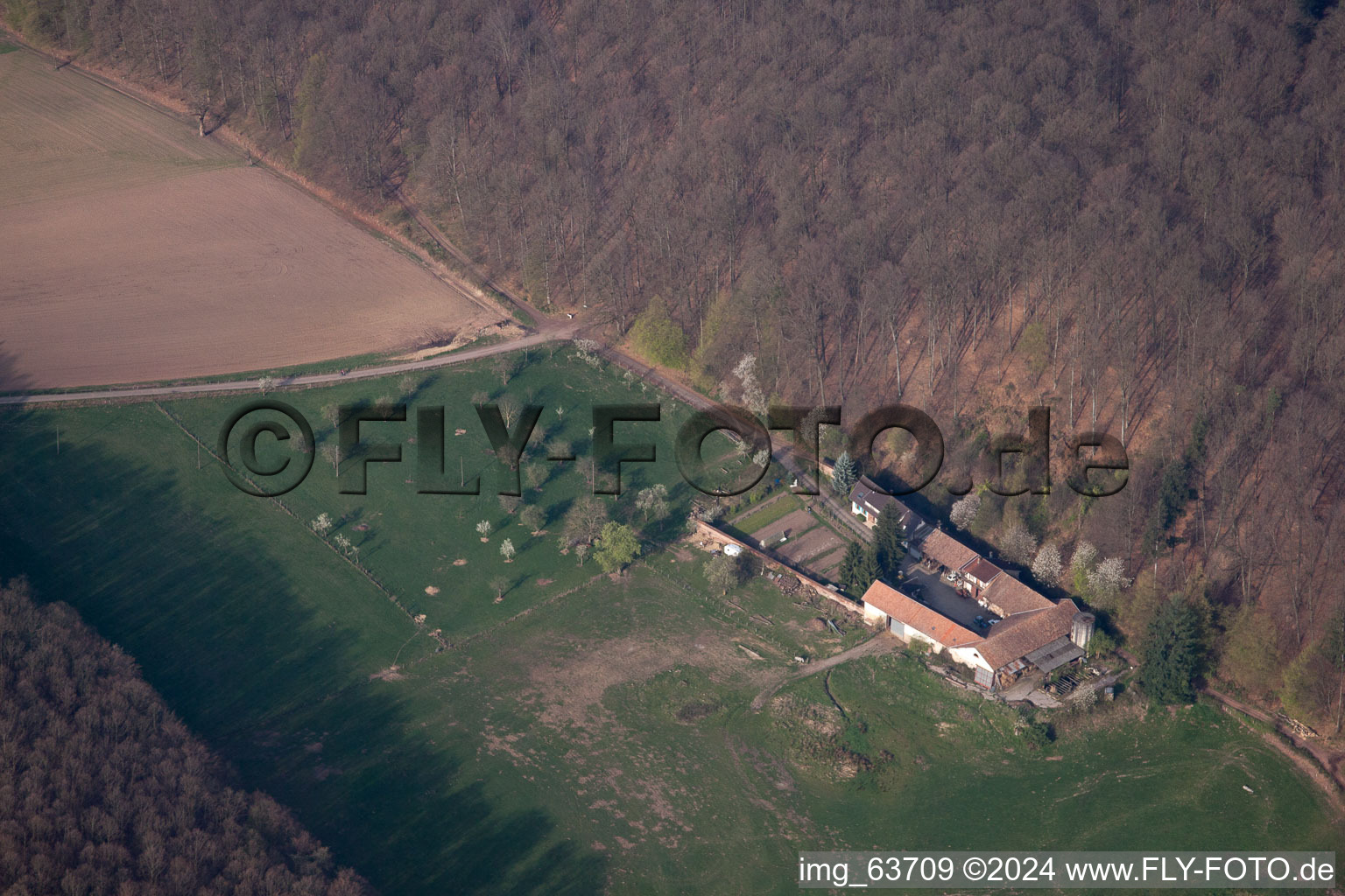 Aerial view of Villa Riessack in Niederbronn-les-Bains in the state Bas-Rhin, France