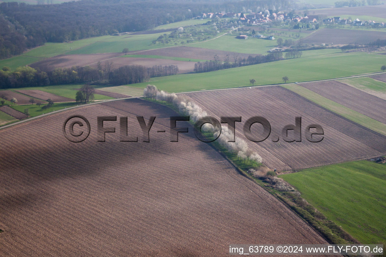 Oblique view of Surbourg in the state Bas-Rhin, France