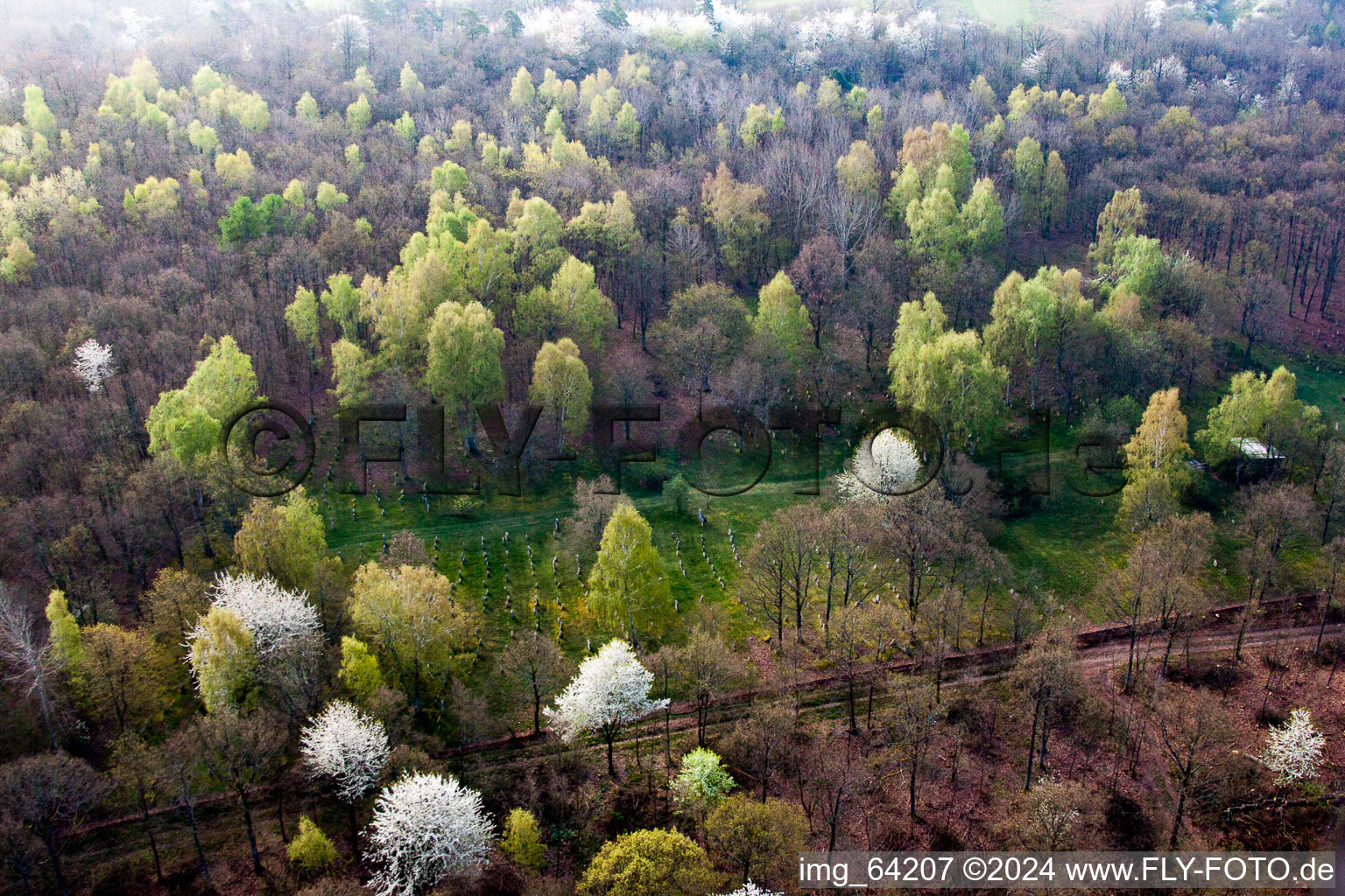 Aerial view of Sulzdorf an der Lederhecke in the state Bavaria, Germany