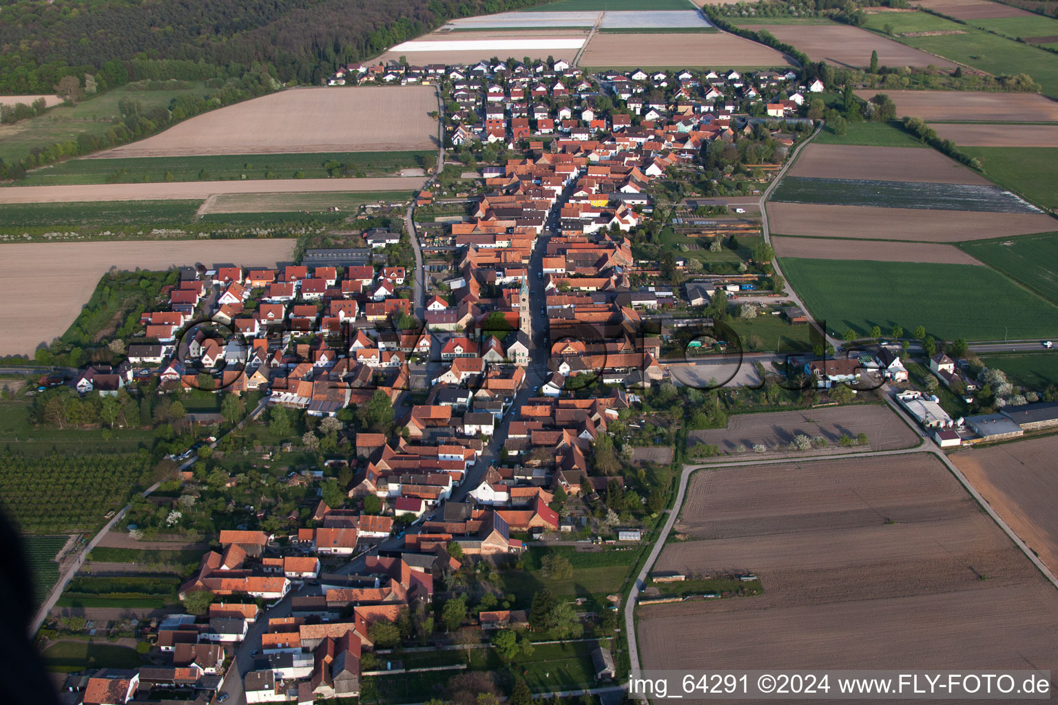 Oblique view of From the west in Erlenbach bei Kandel in the state Rhineland-Palatinate, Germany