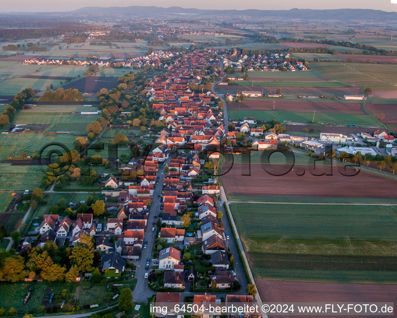 Freckenfeld in the state Rhineland-Palatinate, Germany from a drone