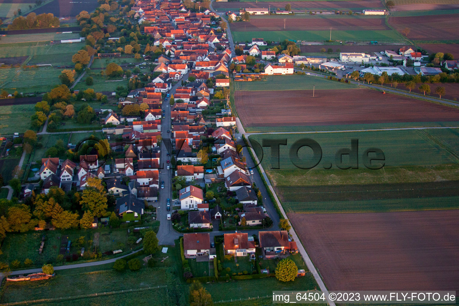 Freckenfeld in the state Rhineland-Palatinate, Germany seen from a drone