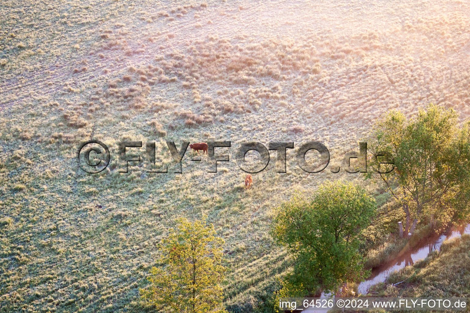 Winden in the state Rhineland-Palatinate, Germany out of the air