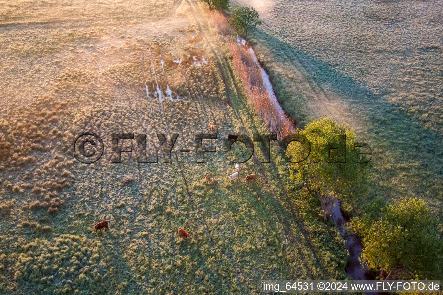 Bird's eye view of Winden in the state Rhineland-Palatinate, Germany