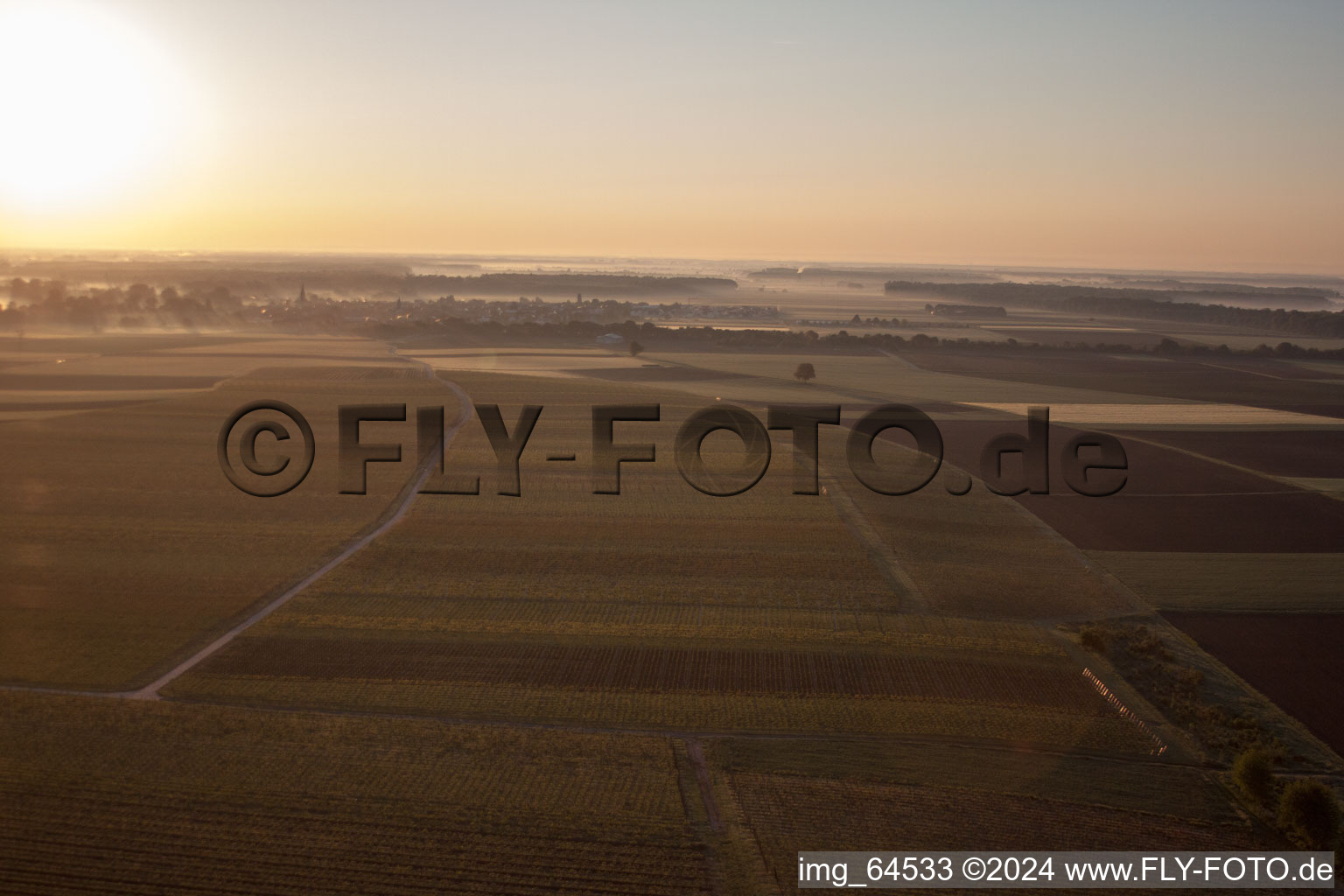 District Mühlhofen in Billigheim-Ingenheim in the state Rhineland-Palatinate, Germany seen from above