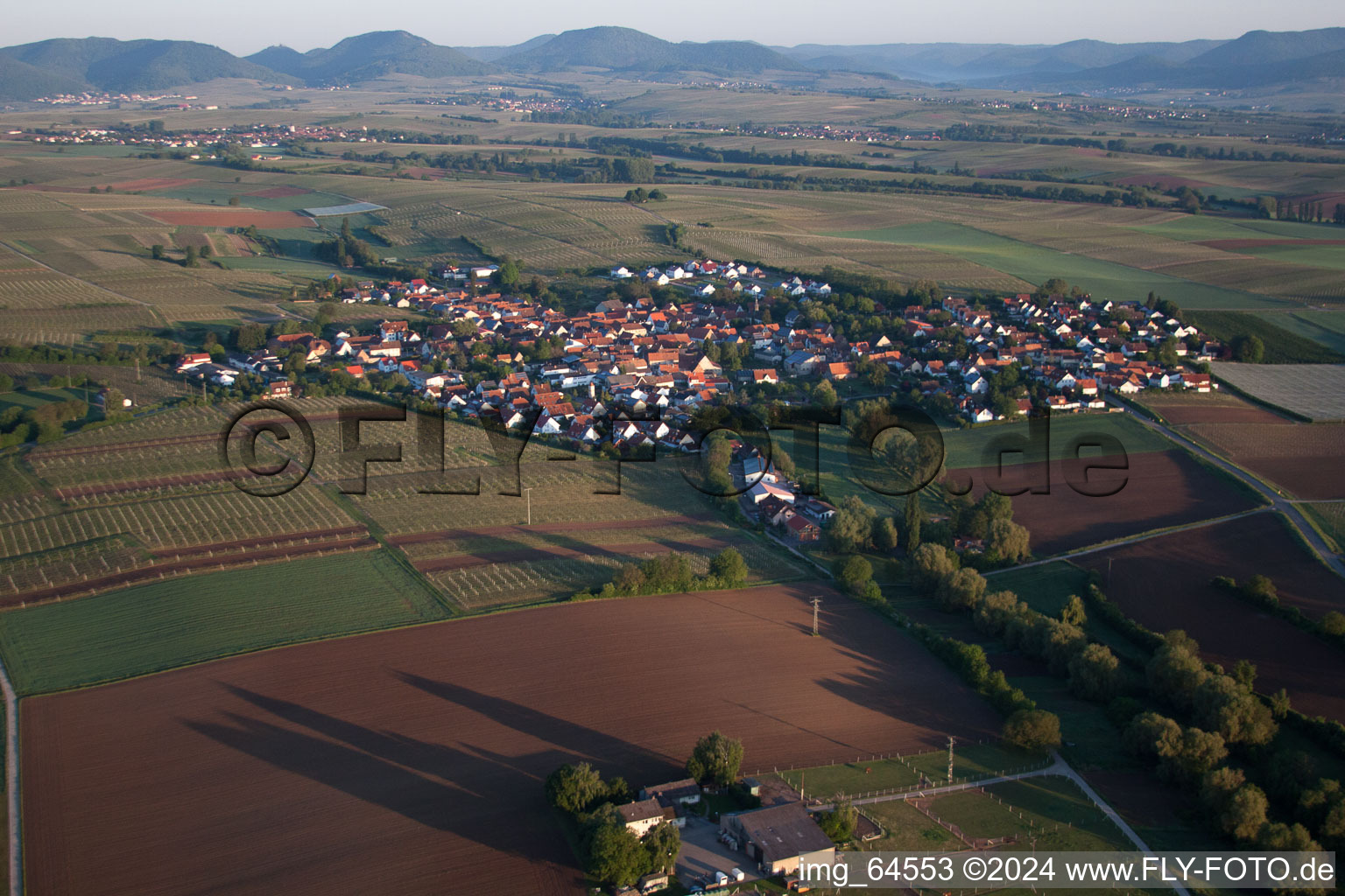 Impflingen in the state Rhineland-Palatinate, Germany from above