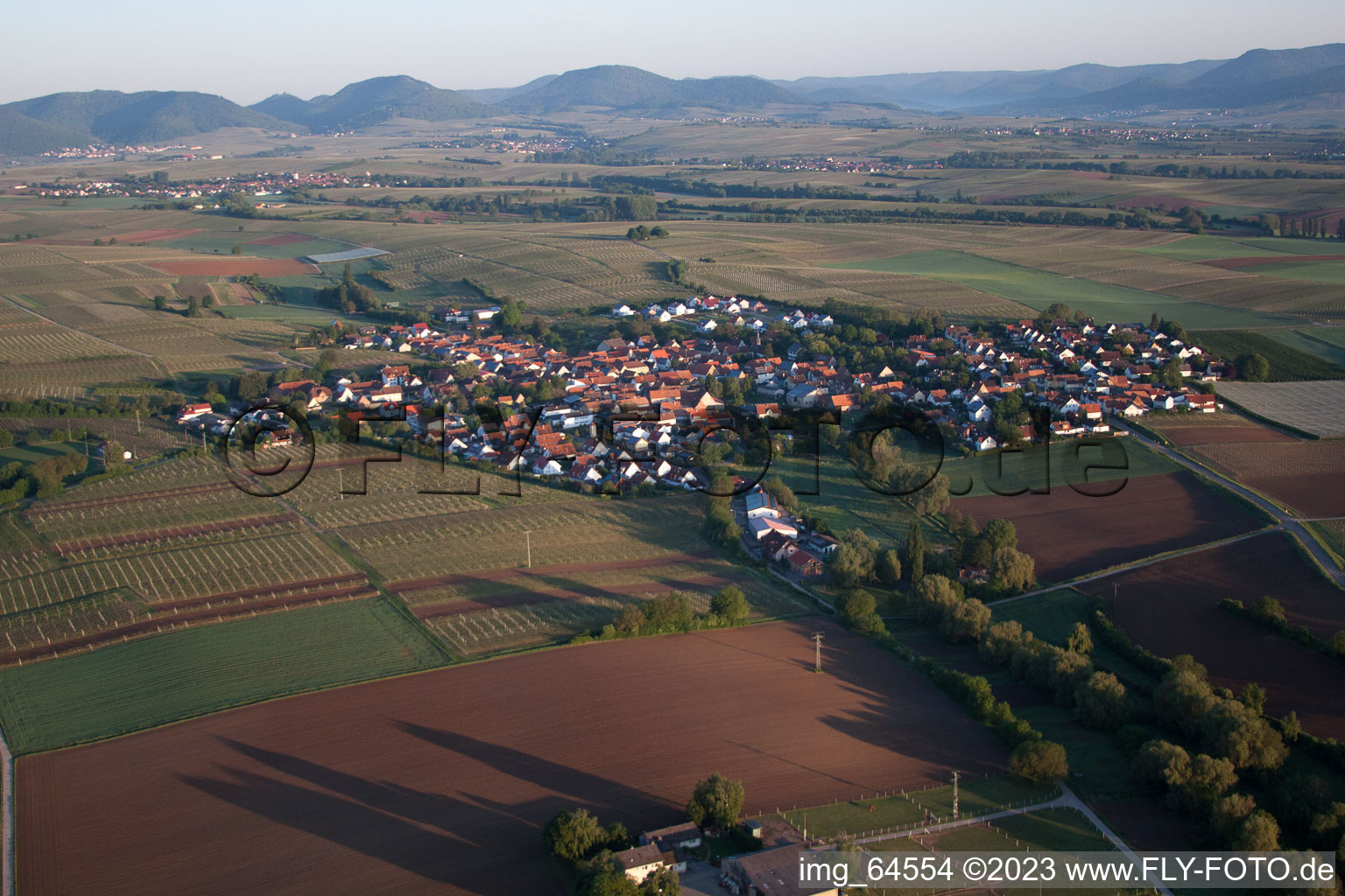 Impflingen in the state Rhineland-Palatinate, Germany out of the air