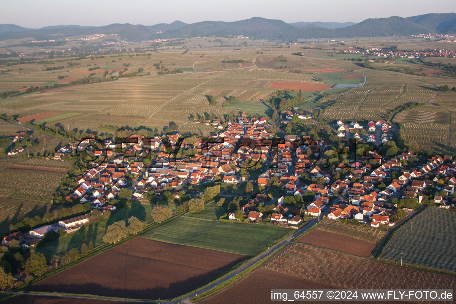 Bird's eye view of Impflingen in the state Rhineland-Palatinate, Germany