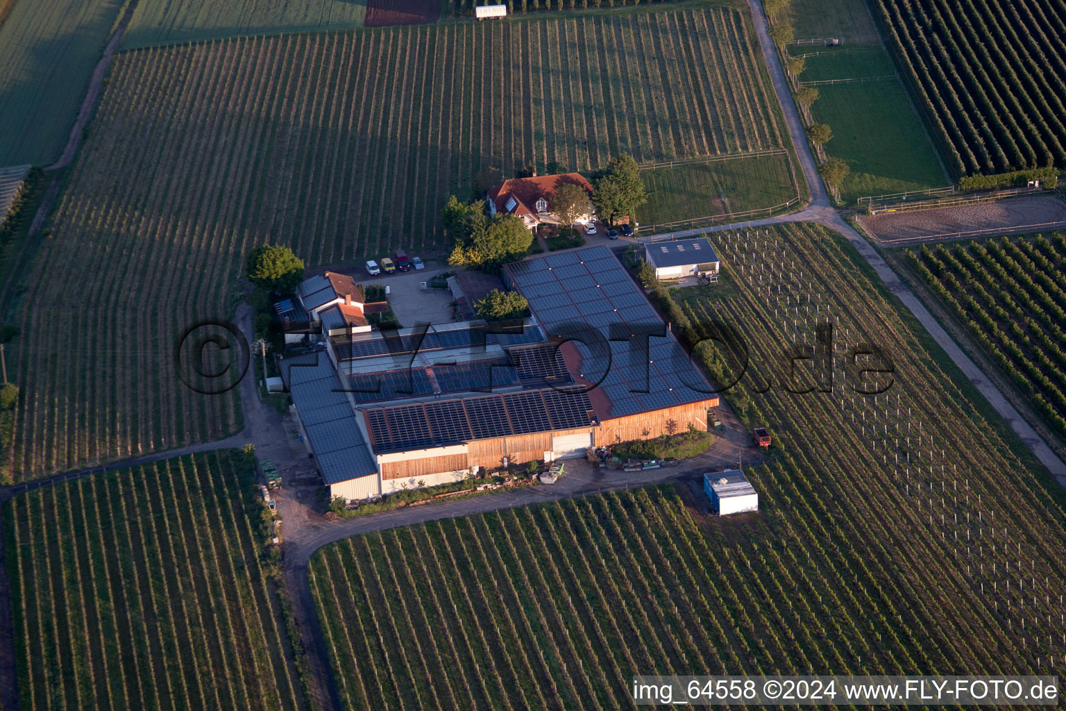 Impflingen in the state Rhineland-Palatinate, Germany viewn from the air