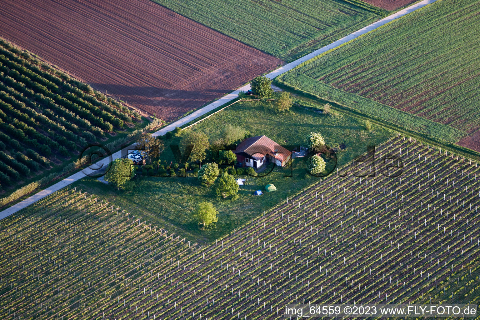Drone recording of Impflingen in the state Rhineland-Palatinate, Germany