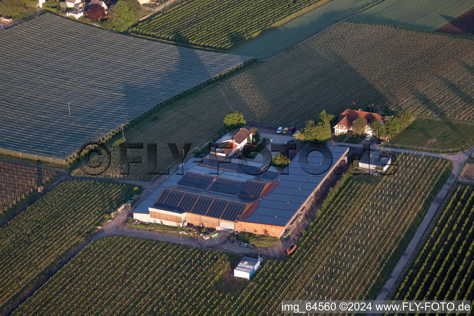 Drone image of Impflingen in the state Rhineland-Palatinate, Germany