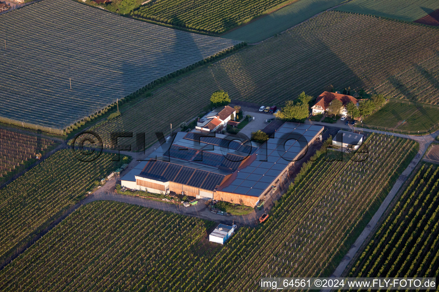 Impflingen in the state Rhineland-Palatinate, Germany from the drone perspective